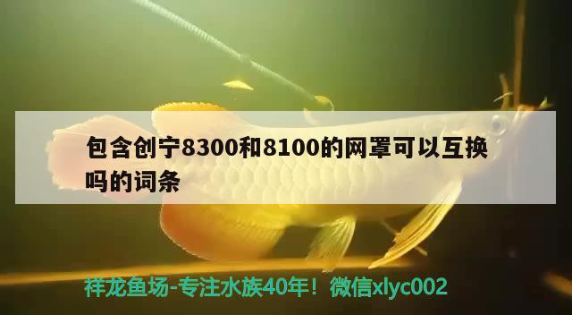 包含创宁8300和8100的网罩可以互换吗的词条