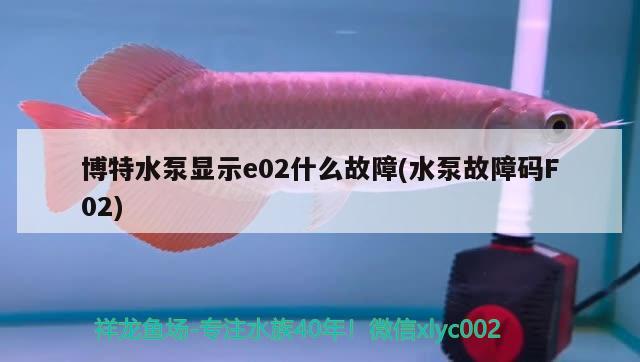 博特水泵显示e02什么故障(水泵故障码F02)