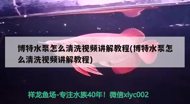 博特水泵怎么清洗视频讲解教程(博特水泵怎么清洗视频讲解教程)