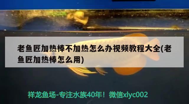 老鱼匠加热棒不加热怎么办视频教程大全(老鱼匠加热棒怎么用)