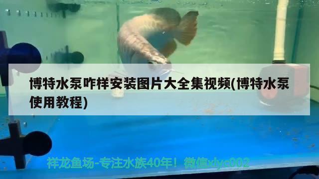 博特水泵咋样安装图片大全集视频(博特水泵使用教程)