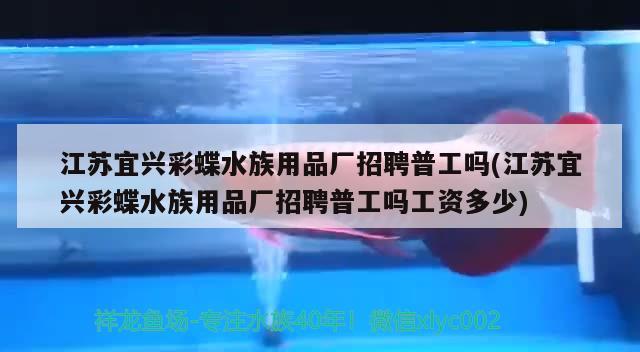 江苏宜兴彩蝶水族用品厂招聘普工吗(江苏宜兴彩蝶水族用品厂招聘普工吗工资多少) 水族用品 第2张