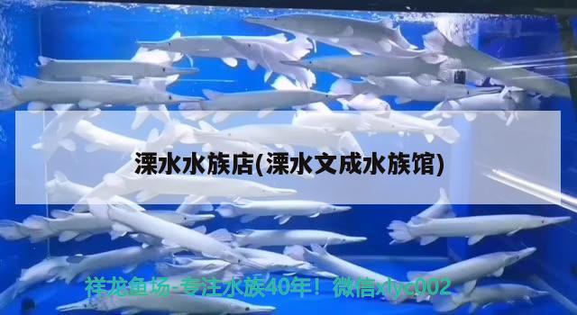 溧水水族店(溧水文成水族馆) 观赏鱼水族批发市场