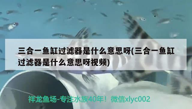 三合一鱼缸过滤器是什么意思呀(三合一鱼缸过滤器是什么意思呀视频) 肥料