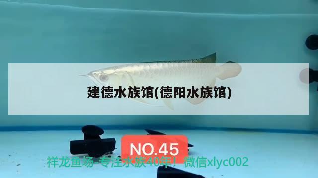 建德水族馆(德阳水族馆) 水族用品