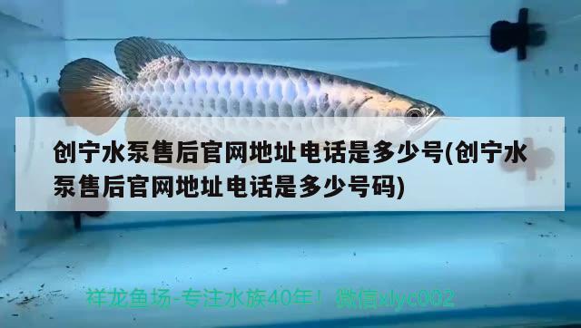 创宁水泵售后官网地址电话是多少号(创宁水泵售后官网地址电话是多少号码) 创宁水族