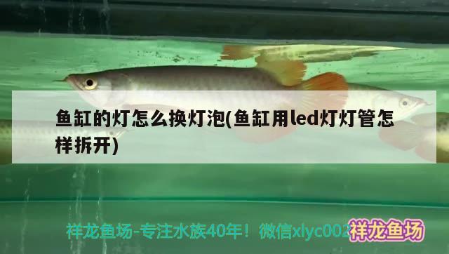 鱼缸的灯怎么换灯泡(鱼缸用led灯灯管怎样拆开)