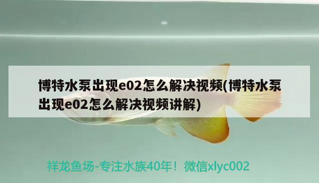 博特水泵出现e02怎么解决视频(博特水泵出现e02怎么解决视频讲解)