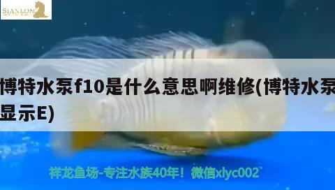 博特水泵f10是什么意思啊维修(博特水泵显示E) 博特水族