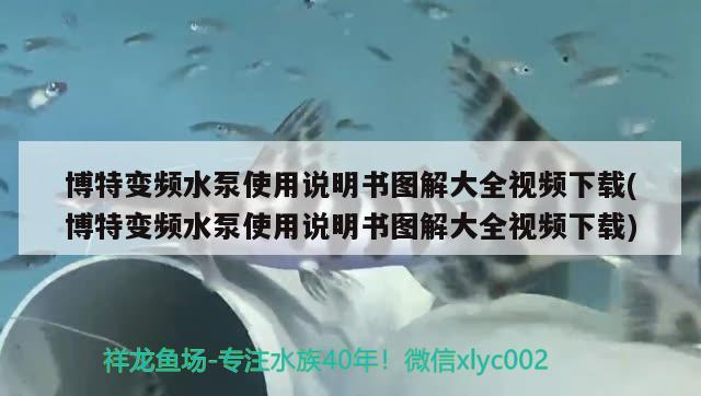 博特变频水泵使用说明书图解大全视频下载(博特变频水泵使用说明书图解大全视频下载) 博特水族