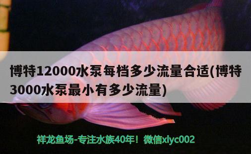 博特12000水泵每档多少流量合适(博特3000水泵最小有多少流量) 博特水族