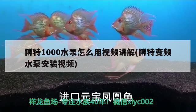 博特1000水泵怎么用视频讲解(博特变频水泵安装视频)