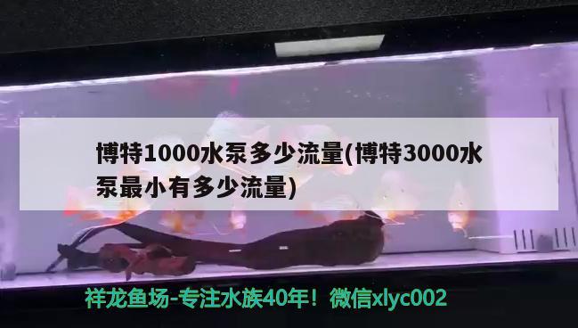 博特1000水泵多少流量(博特3000水泵最小有多少流量)