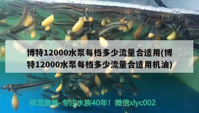 博特12000水泵每档多少流量合适用(博特12000水泵每档多少流量合适用机油)