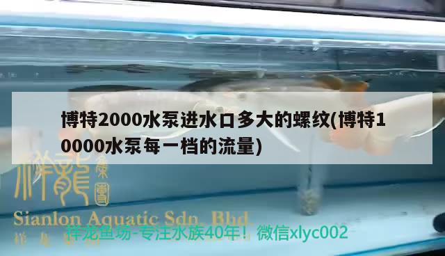 博特2000水泵进水口多大的螺纹(博特10000水泵每一档的流量)