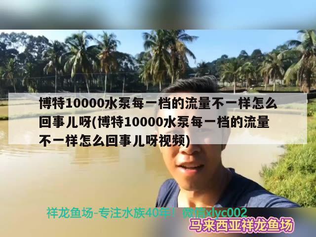 博特10000水泵每一档的流量不一样怎么回事儿呀(博特10000水泵每一档的流量不一样怎么回事儿呀视频) 博特水族