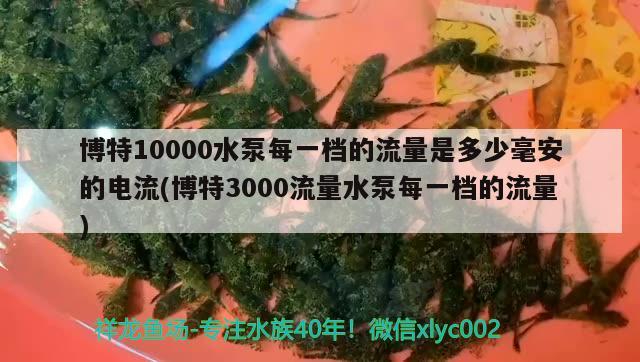 博特10000水泵每一档的流量是多少毫安的电流(博特3000流量水泵每一档的流量) 博特水族