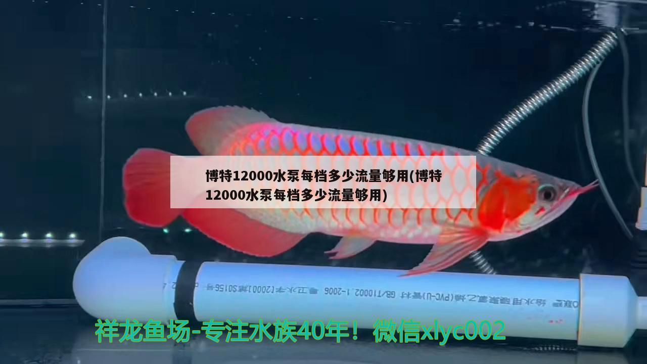 博特12000水泵每档多少流量够用(博特12000水泵每档多少流量够用)