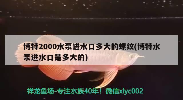 博特2000水泵进水口多大的螺纹(博特水泵进水口是多大的)