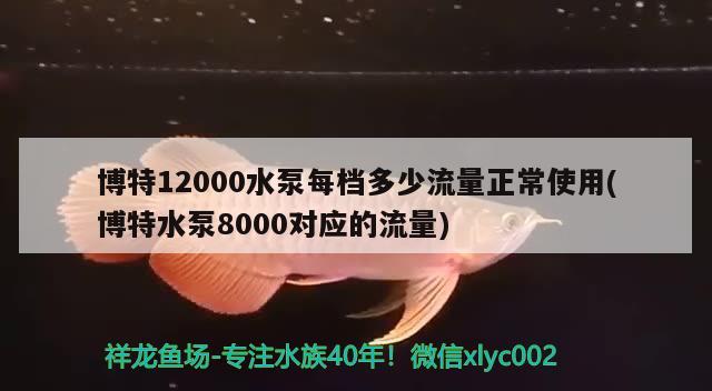 博特12000水泵每档多少流量正常使用(博特水泵8000对应的流量) 博特水族