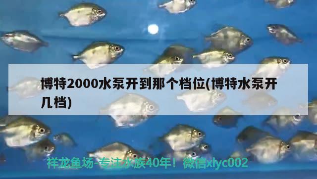 博特2000水泵开到那个档位(博特水泵开几档)