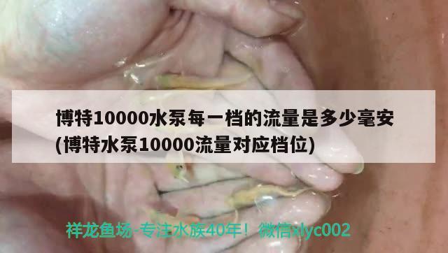 博特10000水泵每一档的流量是多少毫安(博特水泵10000流量对应档位) 博特水族