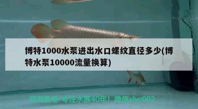 博特1000水泵进出水口螺纹直径多少(博特水泵10000流量换算)