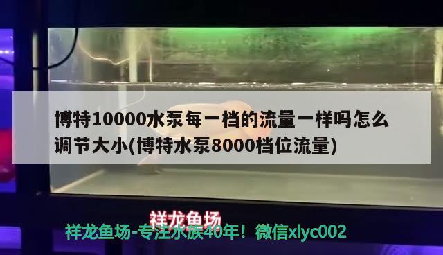 博特10000水泵每一档的流量一样吗怎么调节大小(博特水泵8000档位流量)