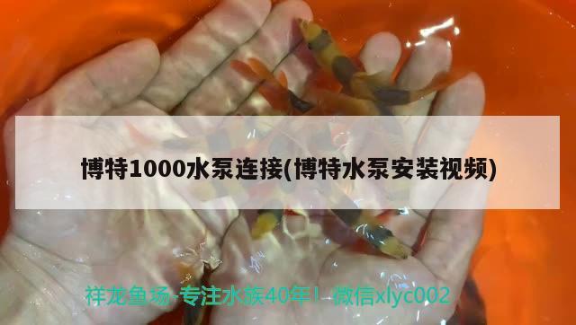 博特1000水泵连接(博特水泵安装视频)