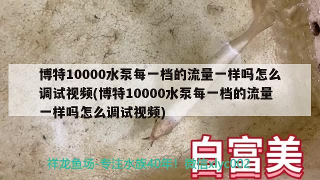 博特10000水泵每一档的流量一样吗怎么调试视频(博特10000水泵每一档的流量一样吗怎么调试视频) 博特水族