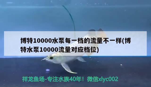 博特10000水泵每一档的流量不一样(博特水泵10000流量对应档位)