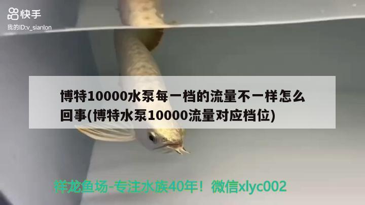 博特10000水泵每一档的流量不一样怎么回事(博特水泵10000流量对应档位)