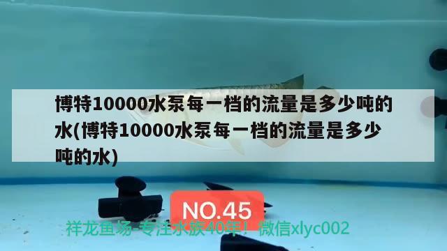 博特10000水泵每一档的流量是多少吨的水(博特10000水泵每一档的流量是多少吨的水)