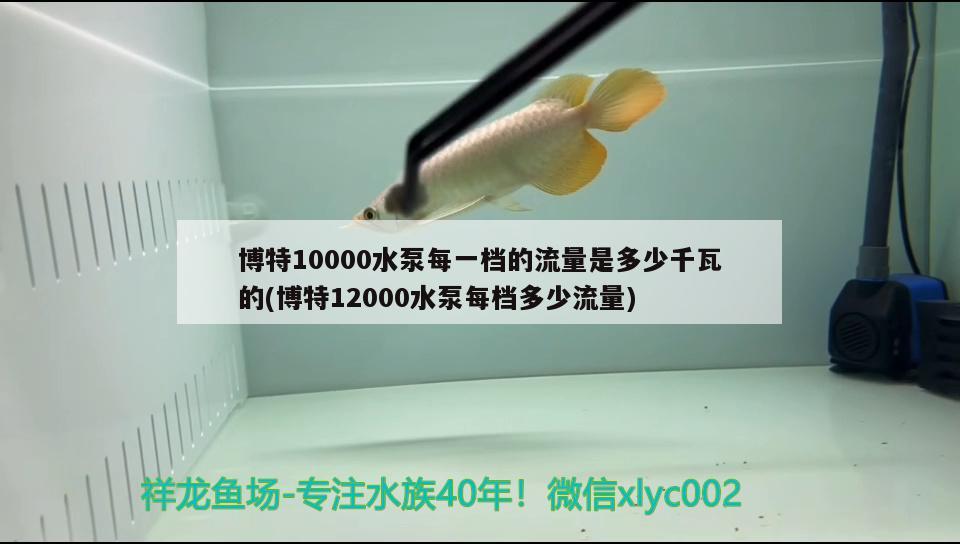 博特10000水泵每一档的流量是多少千瓦的(博特12000水泵每档多少流量)