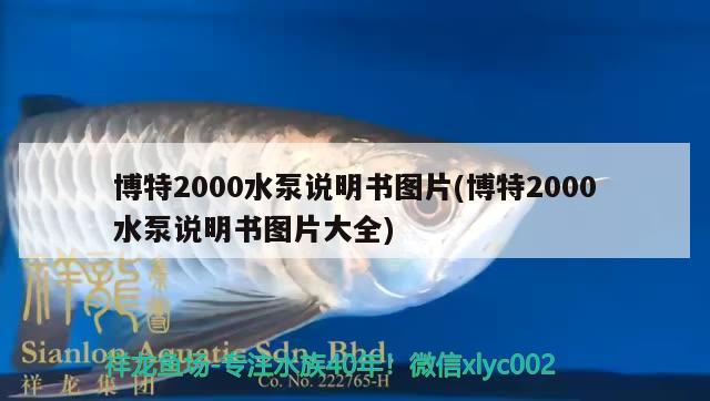 博特2000水泵说明书图片(博特2000水泵说明书图片大全)