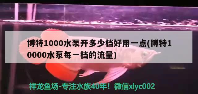 博特1000水泵开多少档好用一点(博特10000水泵每一档的流量)