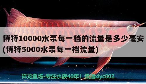 博特10000水泵每一档的流量是多少毫安(博特5000水泵每一档流量) 博特水族