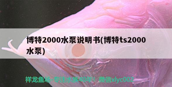 博特2000水泵说明书(博特ts2000水泵)