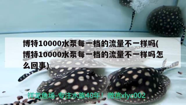 博特10000水泵每一档的流量不一样吗(博特10000水泵每一档的流量不一样吗怎么回事)