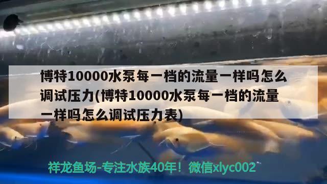 博特10000水泵每一档的流量一样吗怎么调试压力(博特10000水泵每一档的流量一样吗怎么调试压力表)