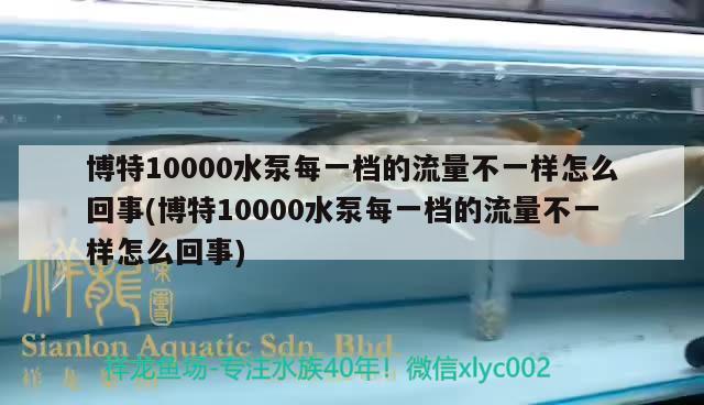 博特10000水泵每一档的流量不一样怎么回事(博特10000水泵每一档的流量不一样怎么回事)