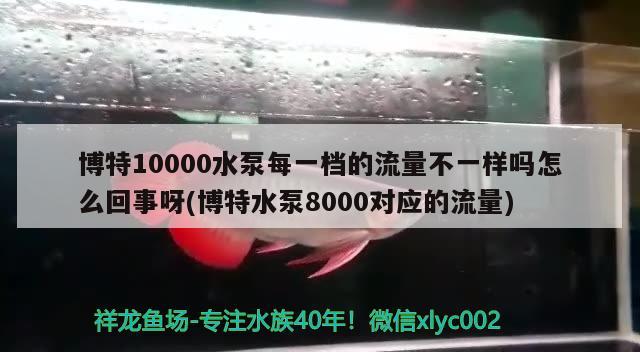 博特10000水泵每一档的流量不一样吗怎么回事呀(博特水泵8000对应的流量)