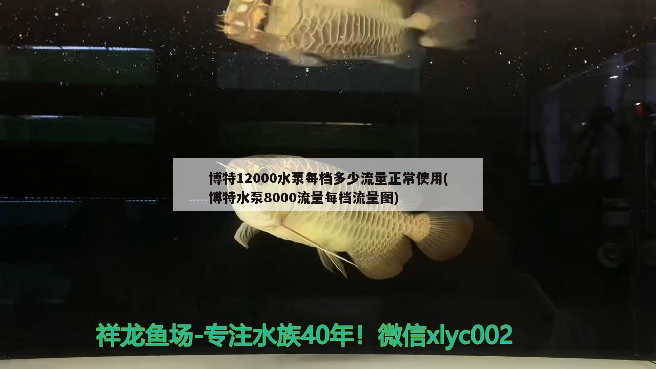 博特12000水泵每档多少流量正常使用(博特水泵8000流量每档流量图)