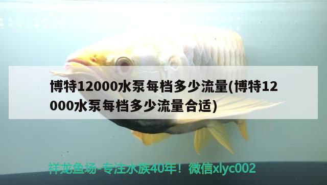 博特12000水泵每档多少流量(博特12000水泵每档多少流量合适)