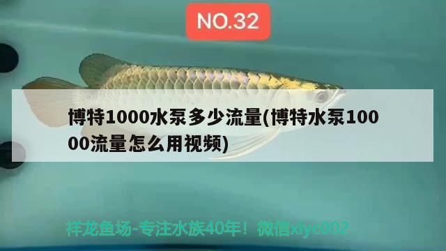 博特1000水泵多少流量(博特水泵10000流量怎么用视频)