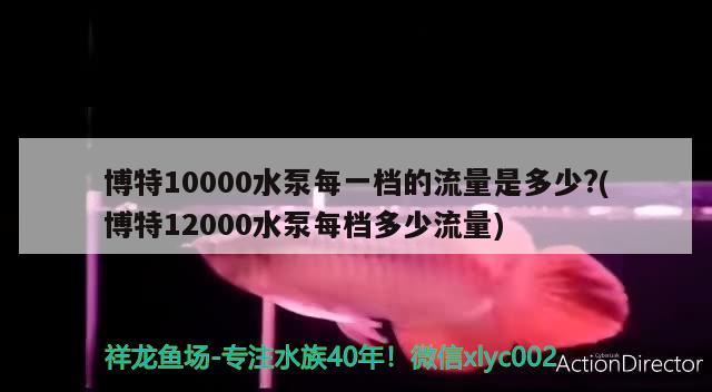 博特10000水泵每一档的流量是多少?(博特12000水泵每档多少流量) 博特水族