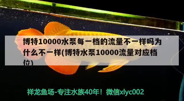 博特10000水泵每一档的流量不一样吗为什么不一样(博特水泵10000流量对应档位)