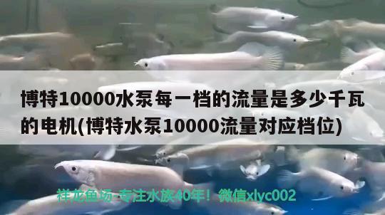 博特10000水泵每一档的流量是多少千瓦的电机(博特水泵10000流量对应档位) 博特水族