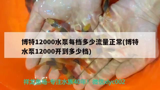 博特12000水泵每档多少流量正常(博特水泵12000开到多少档) 博特水族