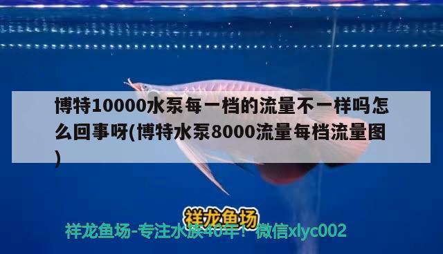 博特10000水泵每一档的流量不一样吗怎么回事呀(博特水泵8000流量每档流量图)